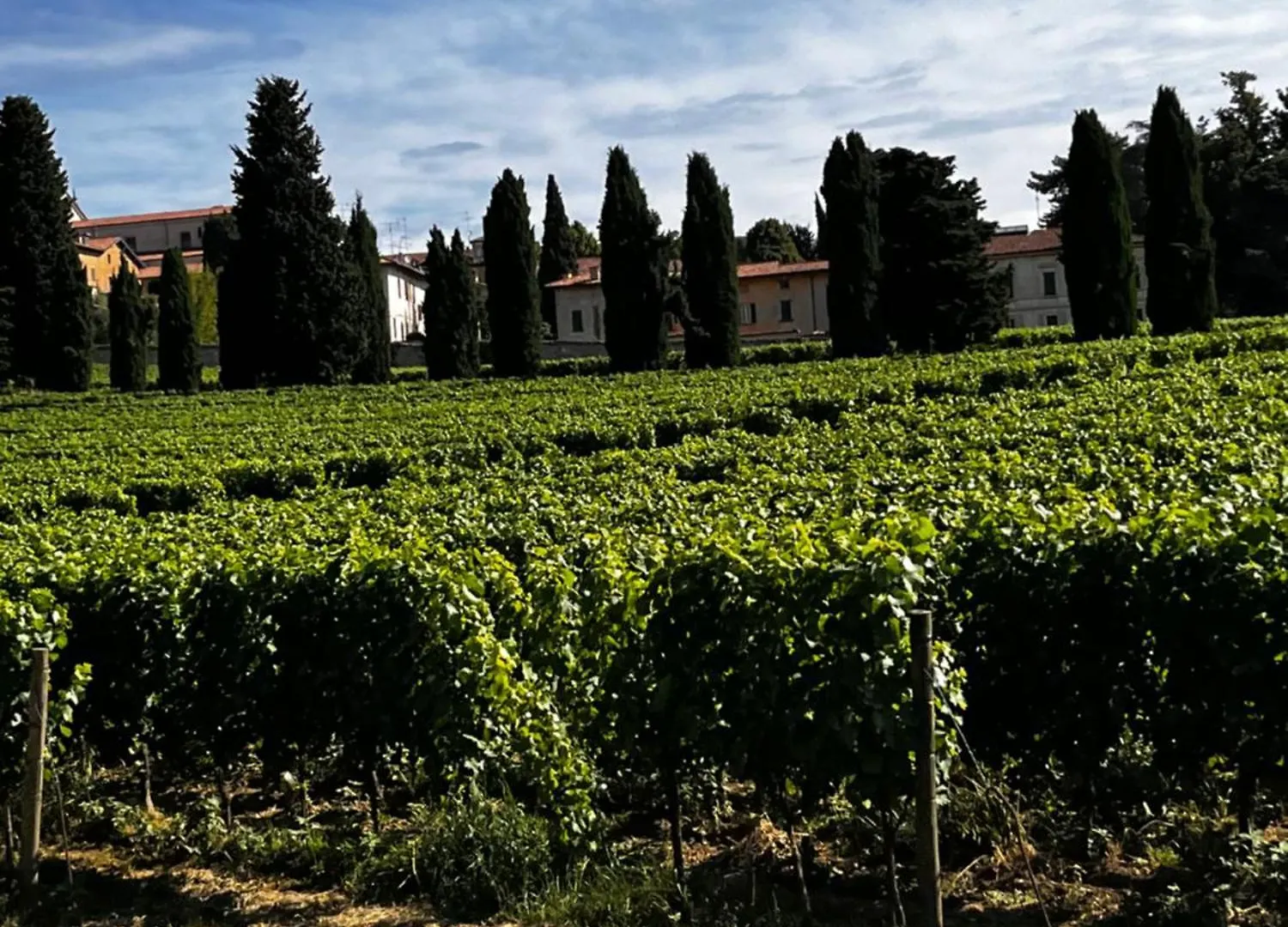 Anna Appartamento Vacanze Monticelli Brusati アパート