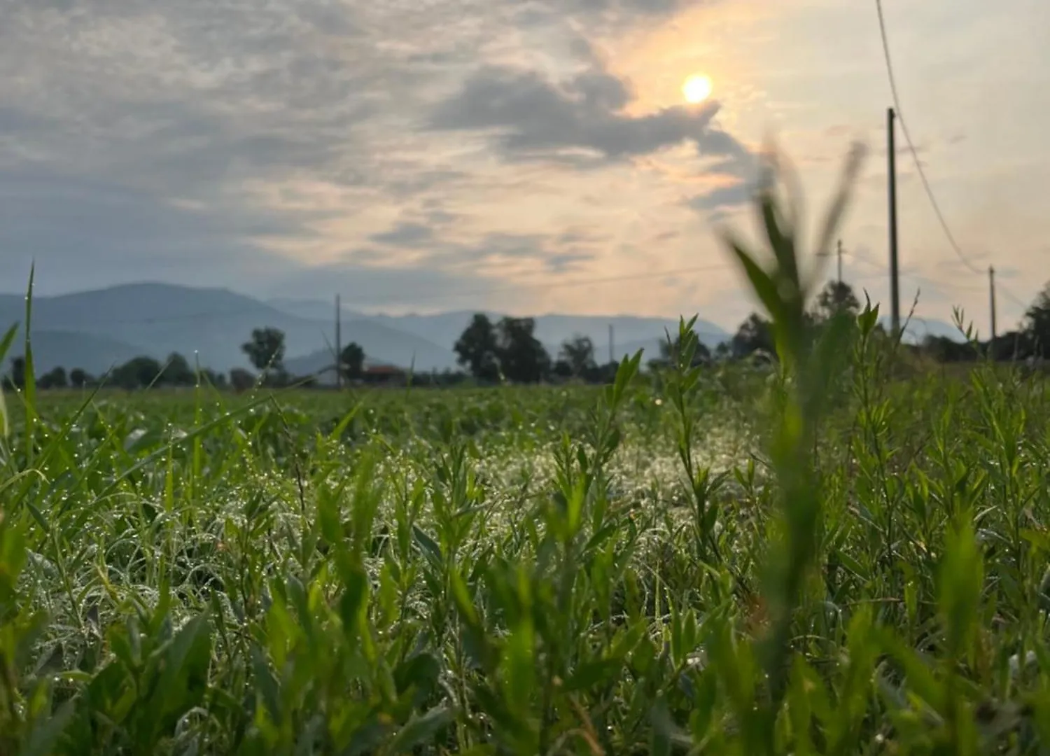 Anna Appartamento Vacanze Monticelli Brusati 0*,  イタリア